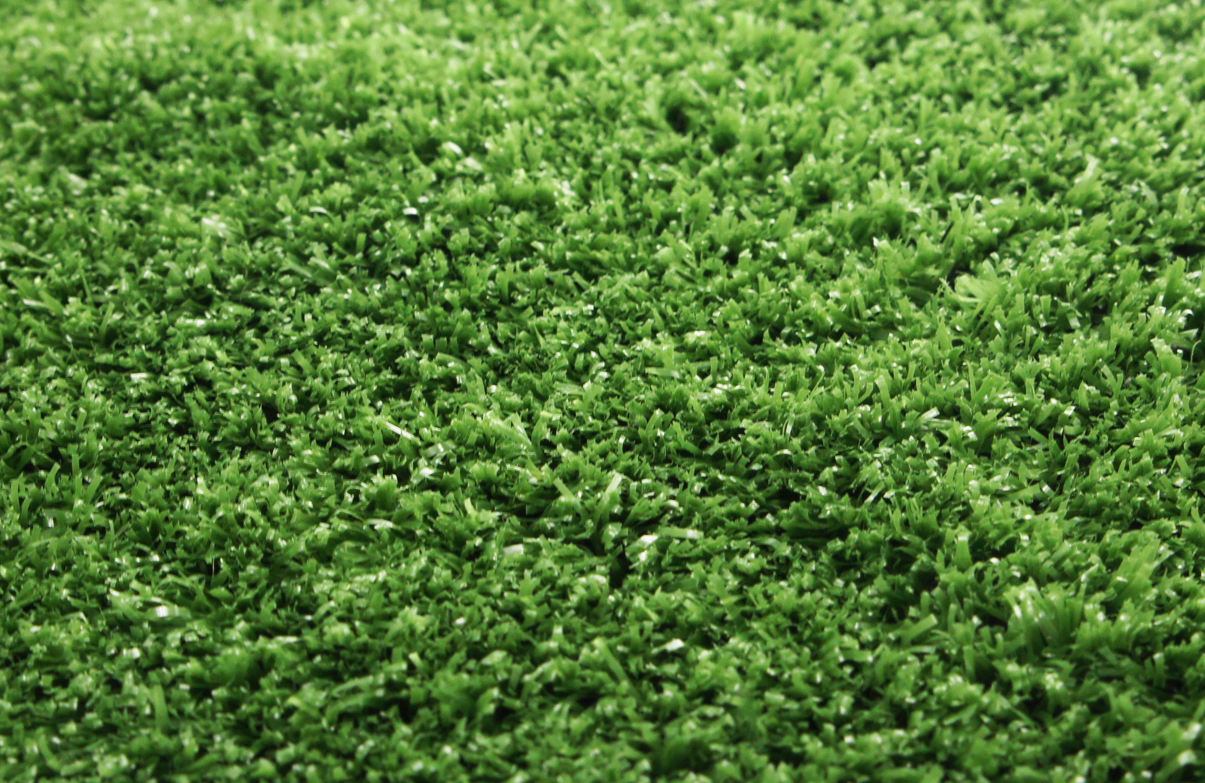 RYEGRASS Искусственный газон